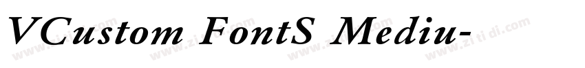 VCustom FontS Mediu字体转换